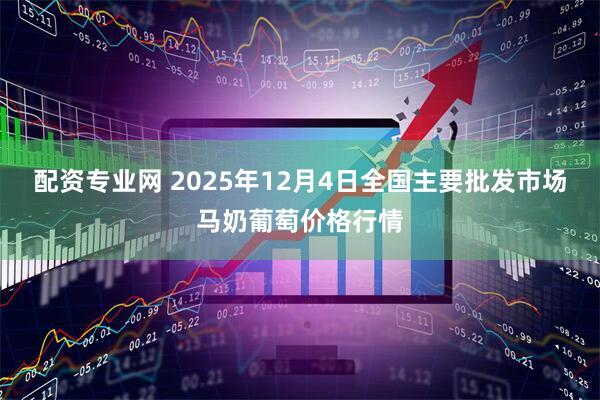 配资专业网 2025年12月4日全国主要批发市场马奶葡萄价格行情