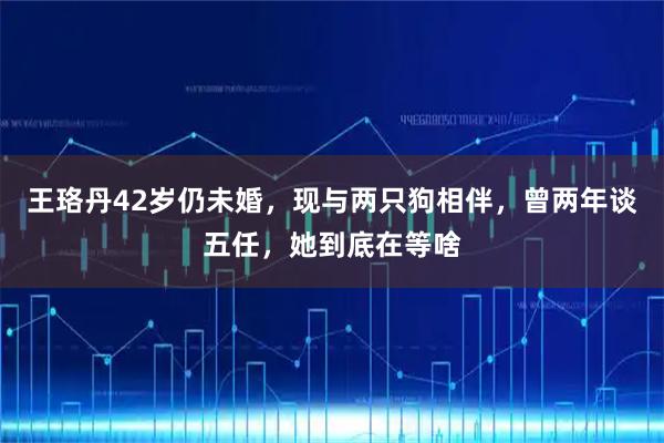 王珞丹42岁仍未婚，现与两只狗相伴，曾两年谈五任，她到底在等啥