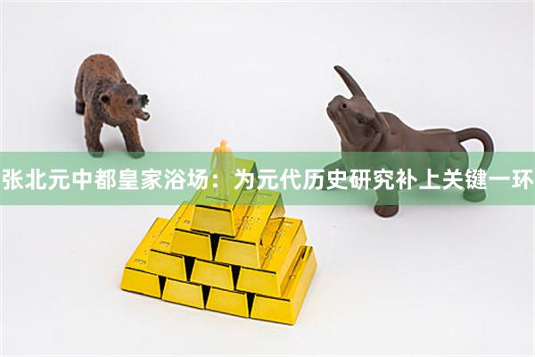 张北元中都皇家浴场：为元代历史研究补上关键一环