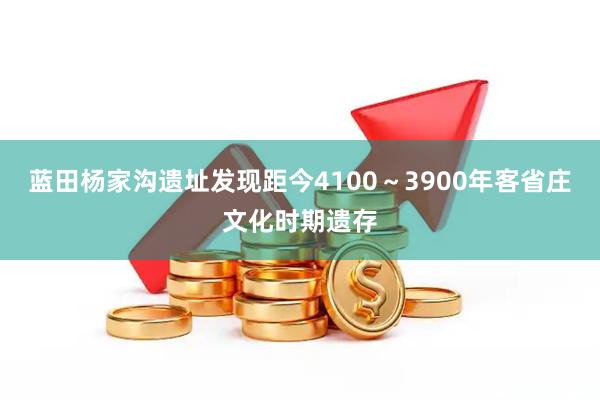 蓝田杨家沟遗址发现距今4100～3900年客省庄文化时期遗存